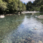 {altimage}